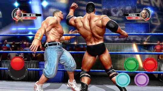 Pro Wrestling Fighting Game 3D