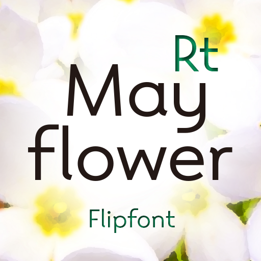 RtMayflower™ Latin FlipFont logo