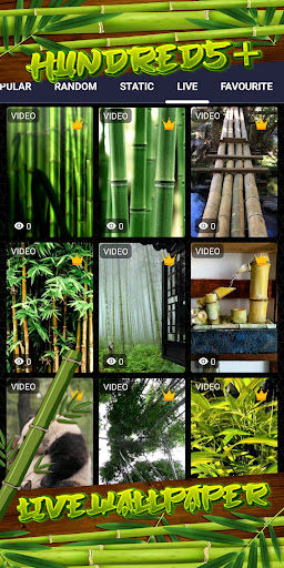 bamboo wallpaper Screen 3
