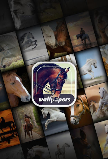 Your  Horses Wallpapers 4K