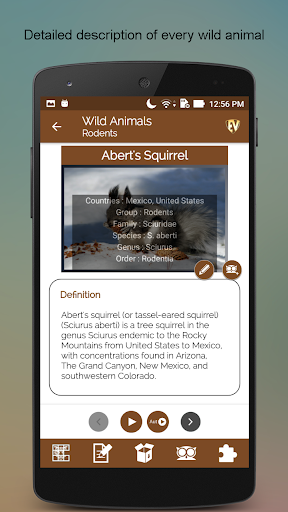 Screenshot of Wild Animals