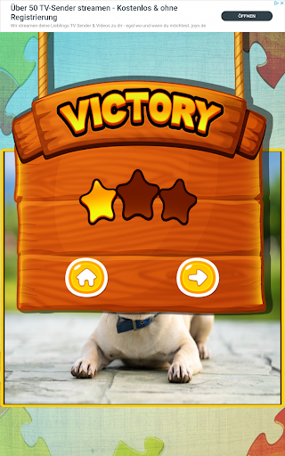 Wealthforum FOTOS Jigsaw