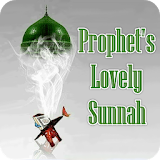 Prophet's Lovely Sunnah icon