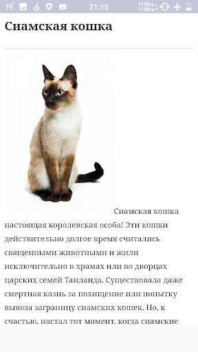 Все породы кошек Screen 3