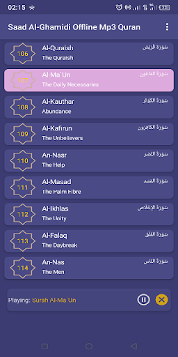 Saad Al-Ghamidi Offline Quran Screen 3
