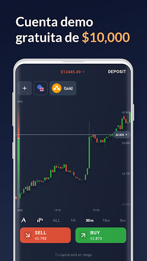 Vista previa de la aplicación