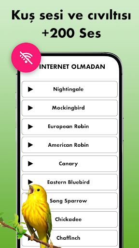 Uygulama önizlemesi