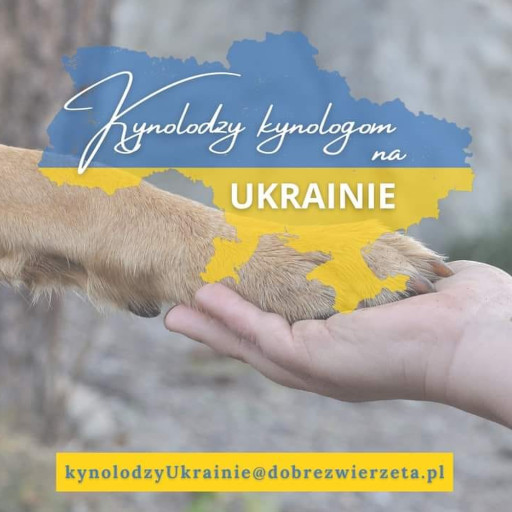 4UA Wolontariat logo