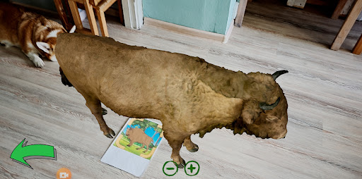 Зубр на уроке Screen 2