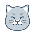 Download Curious Cat 1.3.4 Apk for android