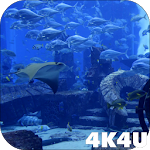 Cover Image of Tải xuống 4K Aquarium Tank Video Live Wa  APK