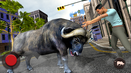 Angry Bull Racing Simulation Game 2021