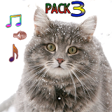 Cat Ringtones Vol3 with Cute Cats Wallpapers icon
