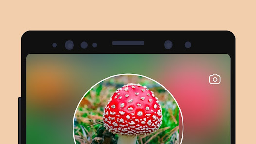 Picture Mushroom – Mushroom ID Mod APK 2.9.19 (Unlocked)(Premium) Gallery 2