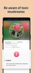 Picture Mushroom – Mushroom ID v2.9.19 [Premium]