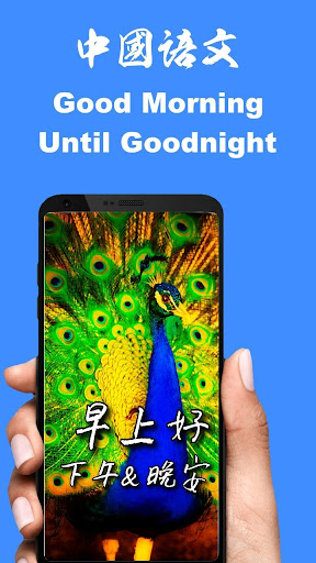 Android application Chinese Good Morning to Night screenshort
