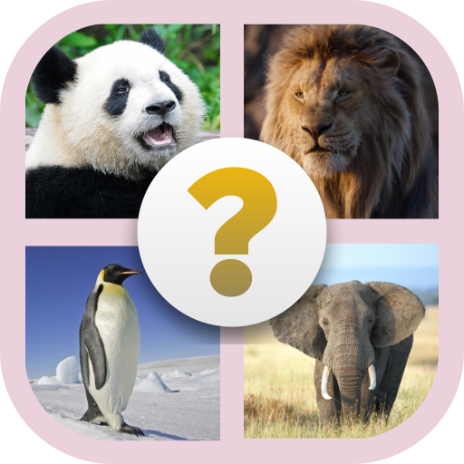 Квиз животные. Animal Quiz.