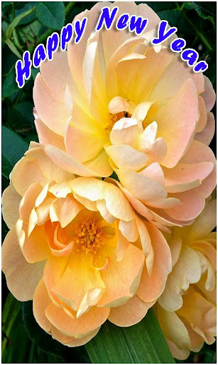 Android application Happy Newyear Wallpapers screenshort