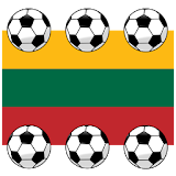 Under-19 Euro Lithuania 2013 icon