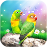 Bird Sounds and Ringtones