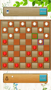 Checkers Match