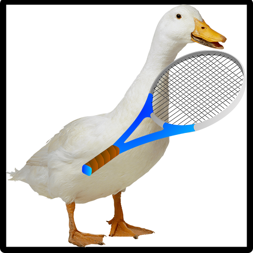 Tennis Duck The Game