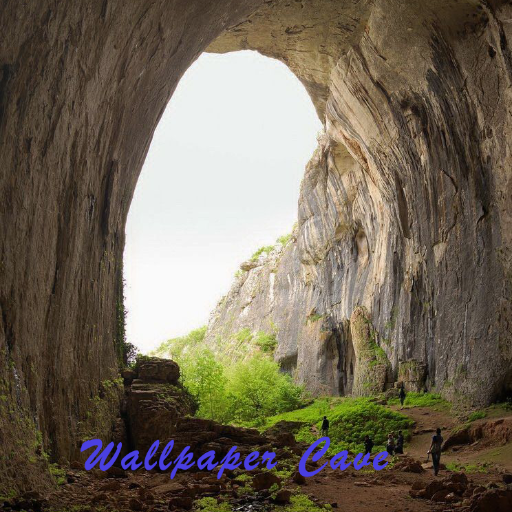Wallpaper Cave HD-4K logo
