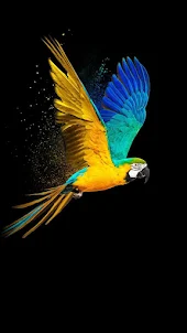 Parrot -Wallpapers,Puzzle
