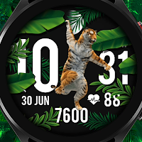 Tiger Time - Watch Face Galaxy
