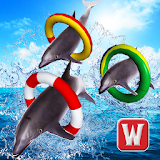 Dolphin Racing Simulator 3D icon