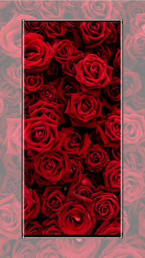 Flower wallpaper Screen 3