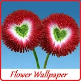 Flower Wallpaper 2017 icon