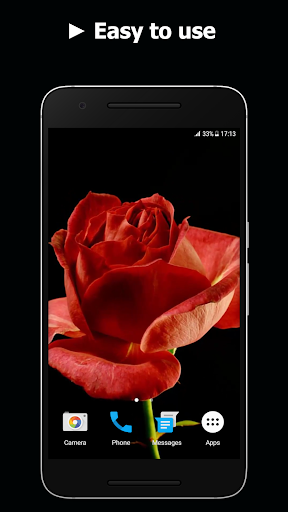 Blooming Roses Video Wallpaper Screen 3