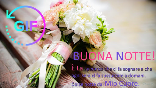 Good night Gif Italian Wishes Screen 3
