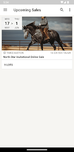North Star Horse Sales