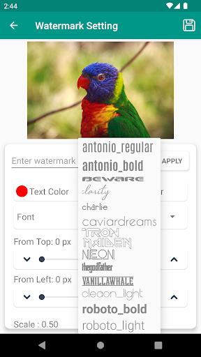 Watermark on photo - image