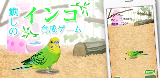 癒しのインコ育成ゲーム Google Play のアプリ
