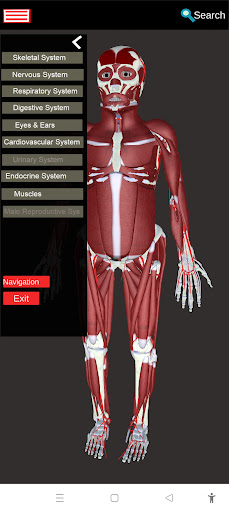 Anatomy 360- Atlas Screen 2