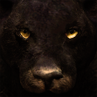 Ultimate Panther Simulator 0.1