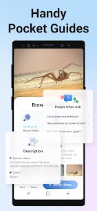 Imagen de insecto: Identificador de error Premium MOD APK 5