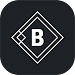 BitLogg - Profissional Icon