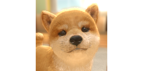 with My DOG - Apps on Google Play