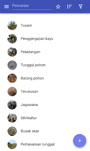 Pratinjau aplikasi