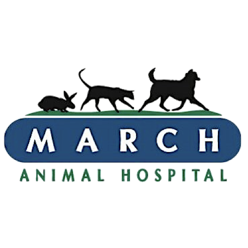 March AH logo