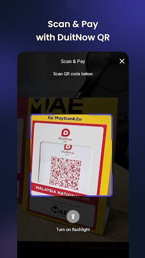 CHIP Expense Screen 3