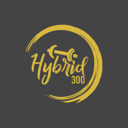 Hybrid 300 logo