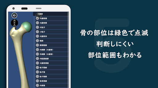 Bone ボーン 骨を学ぶ３dアプリ App Store Data Revenue Download Estimates On Play Store