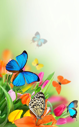 Butterfly Live Wallpaper - Latest version for Android - Download APK