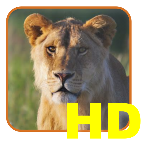 Safari List HD - East Africa 1.00.00 Icon
