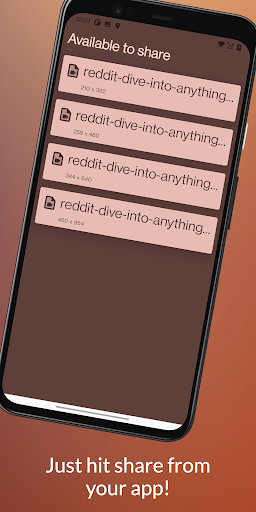 Morlock - Video Downloader Screen 3